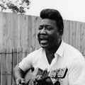 Muddy Waters