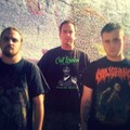 Necroptic Engorgement