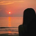 梦槐