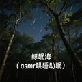 鲸眠海（asmr哄睡助眠）
