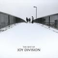 Joy Division