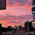 小飞龙