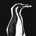 펭귄아파트 (penguin APT)&에이트레인