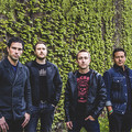 Yellowcard