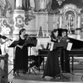 Concerto de Bassus