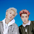 EXO-SC&개코