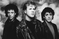 The Jeff Healey Band