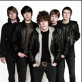 The Pigeon Detectives