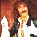 Željko Bebek