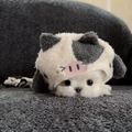 谨禾