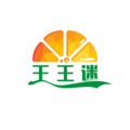 王王迷