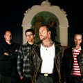 Social Distortion