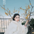 爱吃竹子的猫
