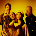 Little Dragon&Fromwood