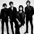 The Struts