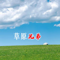 草原兄弟&听风楼