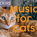 Music For Cats&Pet Care Club&Dog Music