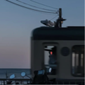 浪子