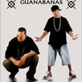 Guanabanas