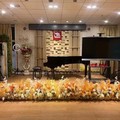 FJ钢琴音乐