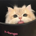 左祈桉