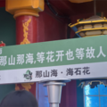 晓柒