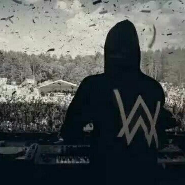 鬼才AlanWalker电音精选