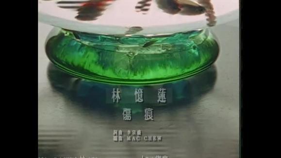 林忆莲《伤痕》