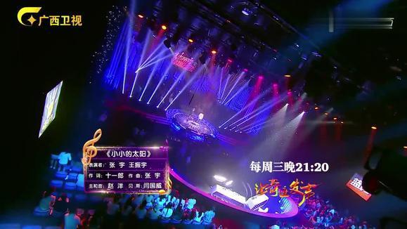 张宇&王振宇《小小的太阳 (Live)》