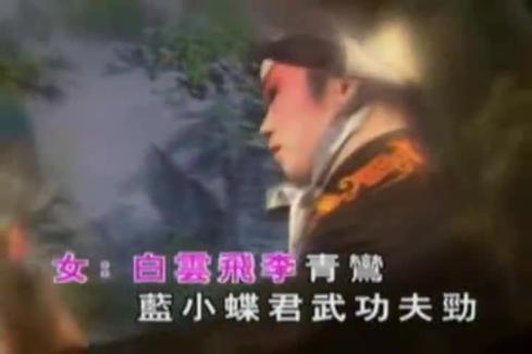 关正杰&华娃《仙鹤神针》