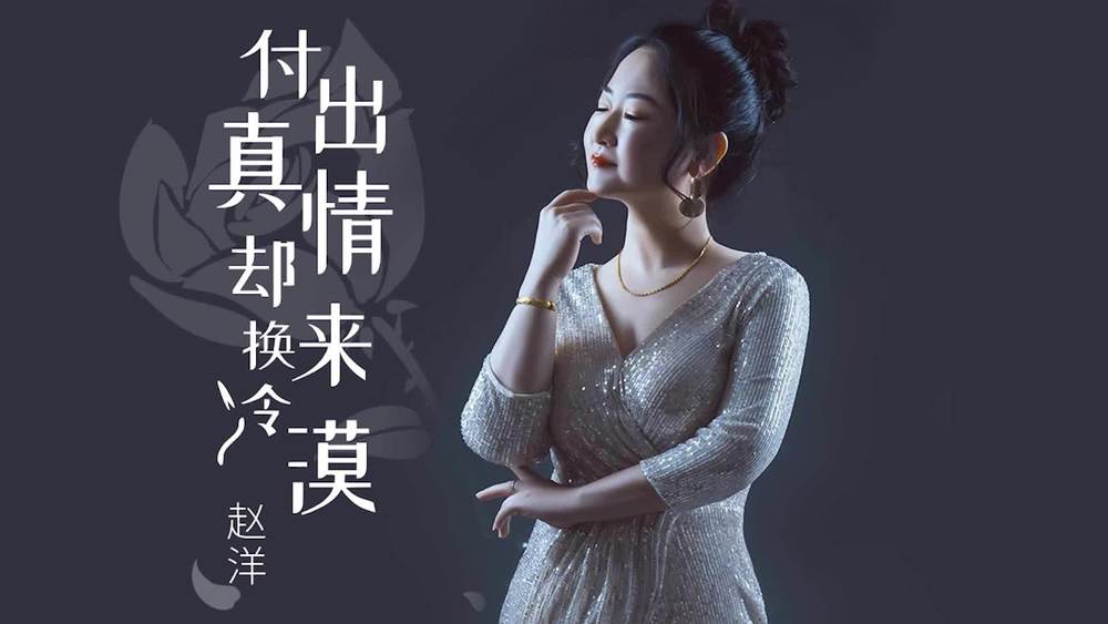 赵洋《付出真情却换来冷漠 (Dj沈念版)》
