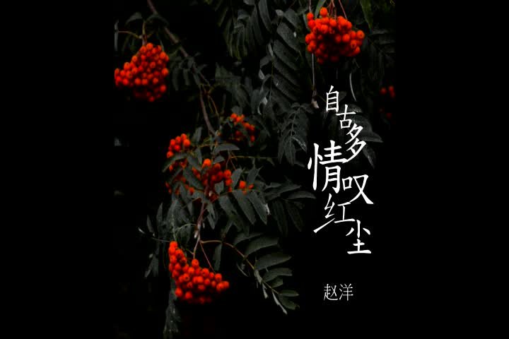 赵洋《自古多情叹红尘》