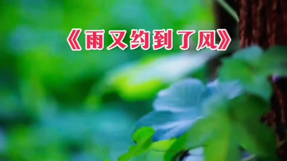 如意&李英《雨又约到了风（女版）》
