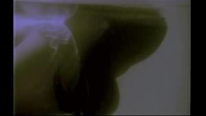 陶晶莹 - 走路去纽约
