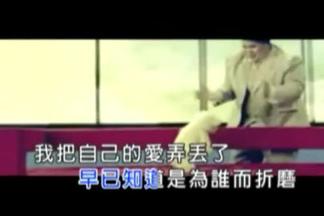 我把自己的爱弄丢了封面