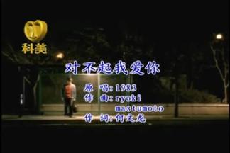 对不起，我爱你封面