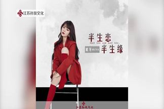 半生恋半生缘封面