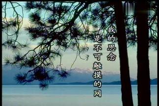 心雨 - 卓依婷封面
