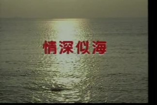 情深似海封面